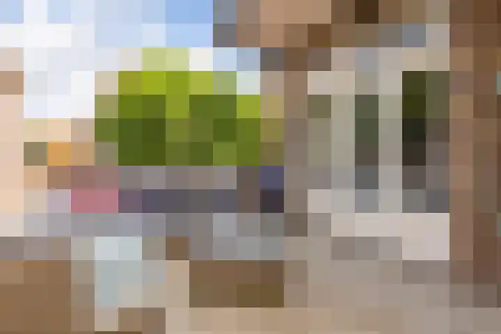 Johan de Wittlaan 261 1 Arnhem thumbnail 12
