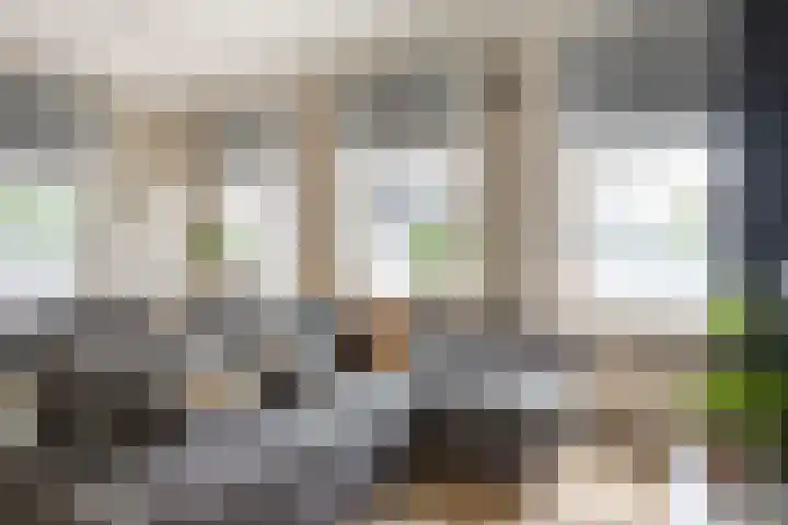 Johan de Wittlaan 261 1 Arnhem thumbnail 4