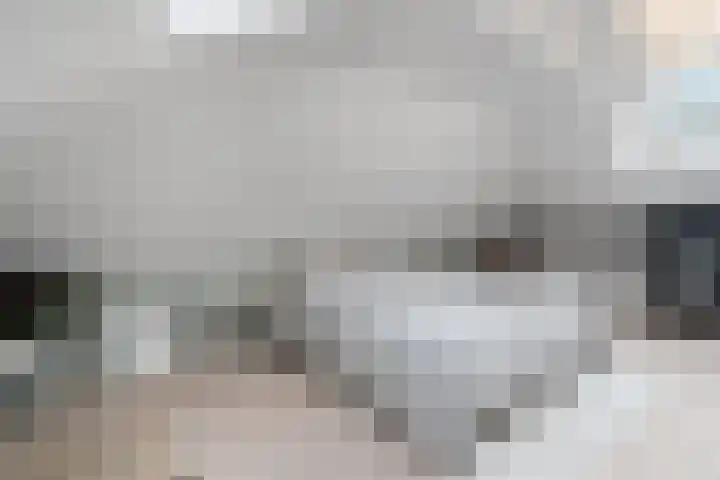 Johan de Wittlaan 261 2 Arnhem thumbnail 30