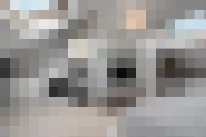 Johan de Wittlaan 261 2 Arnhem thumbnail 33