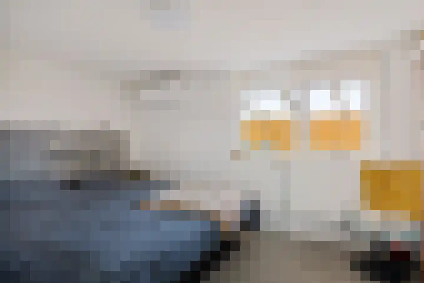 Johan de Wittlaan 3 Hoogezand thumbnail 20