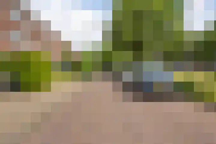 Johan de Wittlaan 343 Arnhem thumbnail 20