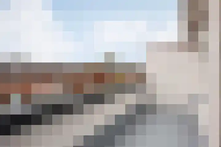 Johan de Wittlaan 343 Arnhem thumbnail 8
