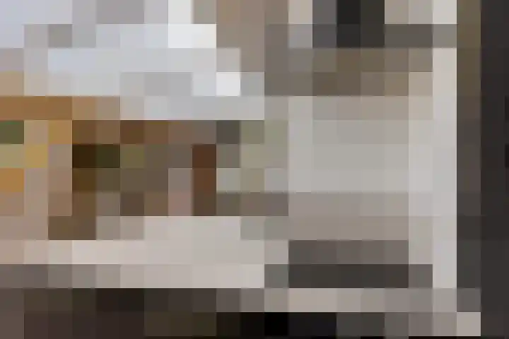 Johan de Wittlaan 363 Arnhem thumbnail 15