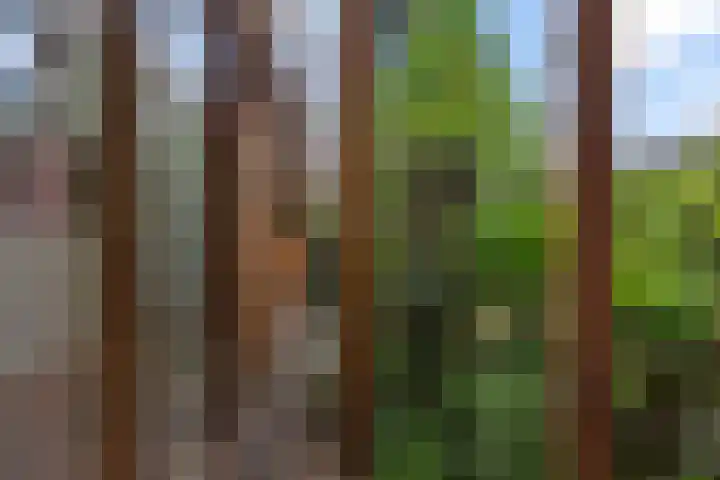 Johan de Wittlaan 363 Arnhem thumbnail 38