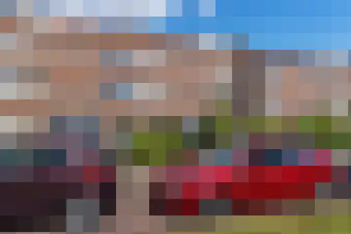 Johan de Wittlaan 363 Arnhem thumbnail 45