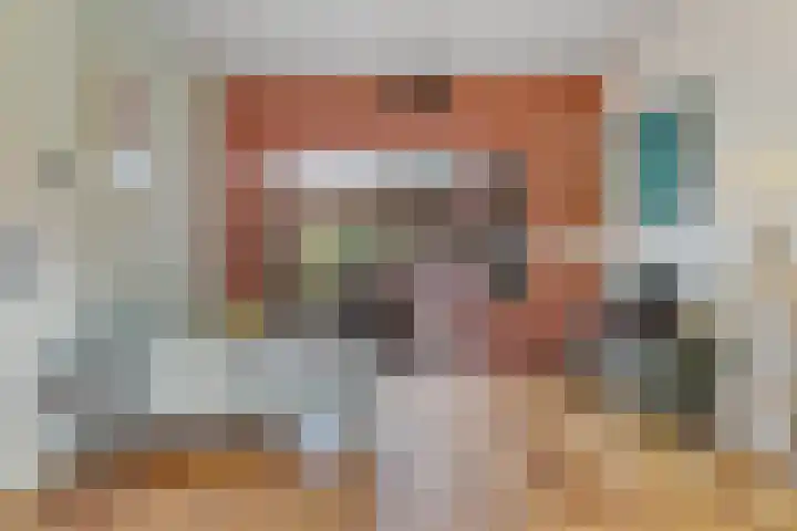 Johan de Wittlaan 363 Arnhem thumbnail 6