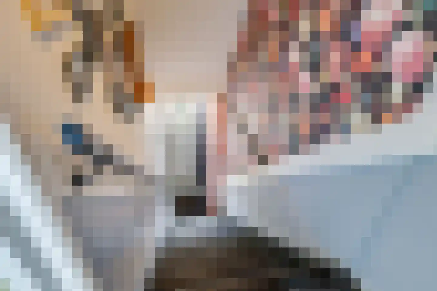 Johan de Wittlaan 379 Arnhem thumbnail 8