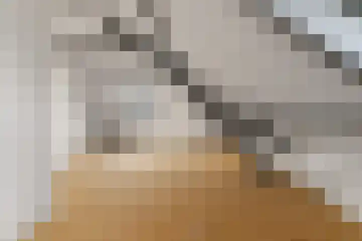 Johan de Wittlaan 4 Arnhem thumbnail 31