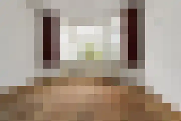 Johan de Wittlaan 4 Arnhem thumbnail 4