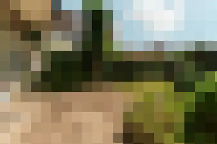 Johan de Wittlaan 4 Arnhem thumbnail 40