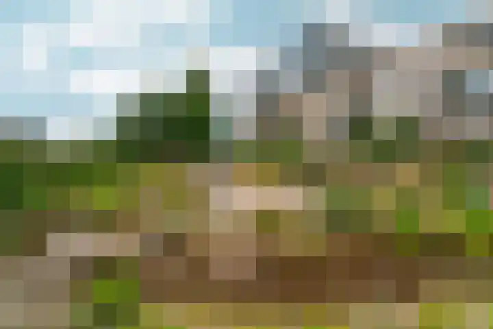 Johan de Wittlaan 4 Arnhem thumbnail 56