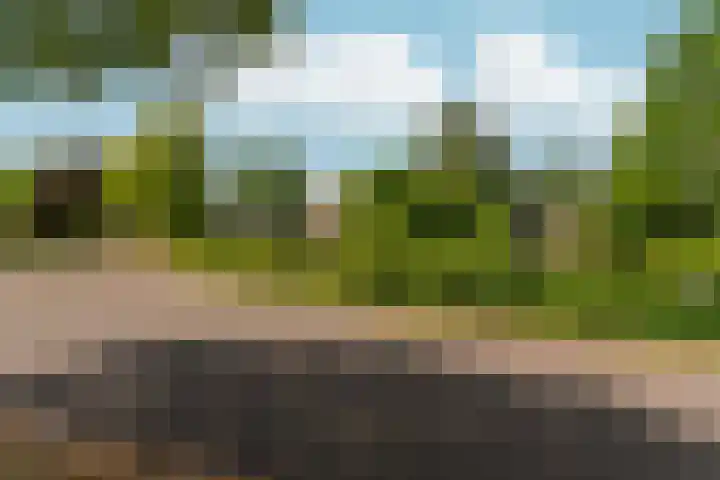 Johan de Wittlaan 4 Arnhem thumbnail 58