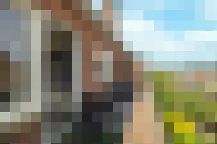 Johan de Wittlaan 427 Arnhem thumbnail 27