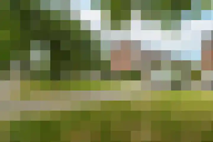 Johan de Wittlaan 427 Arnhem thumbnail 33