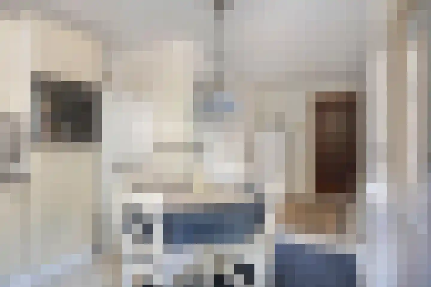 Johan de Wittlaan 5 Arnhem thumbnail 19