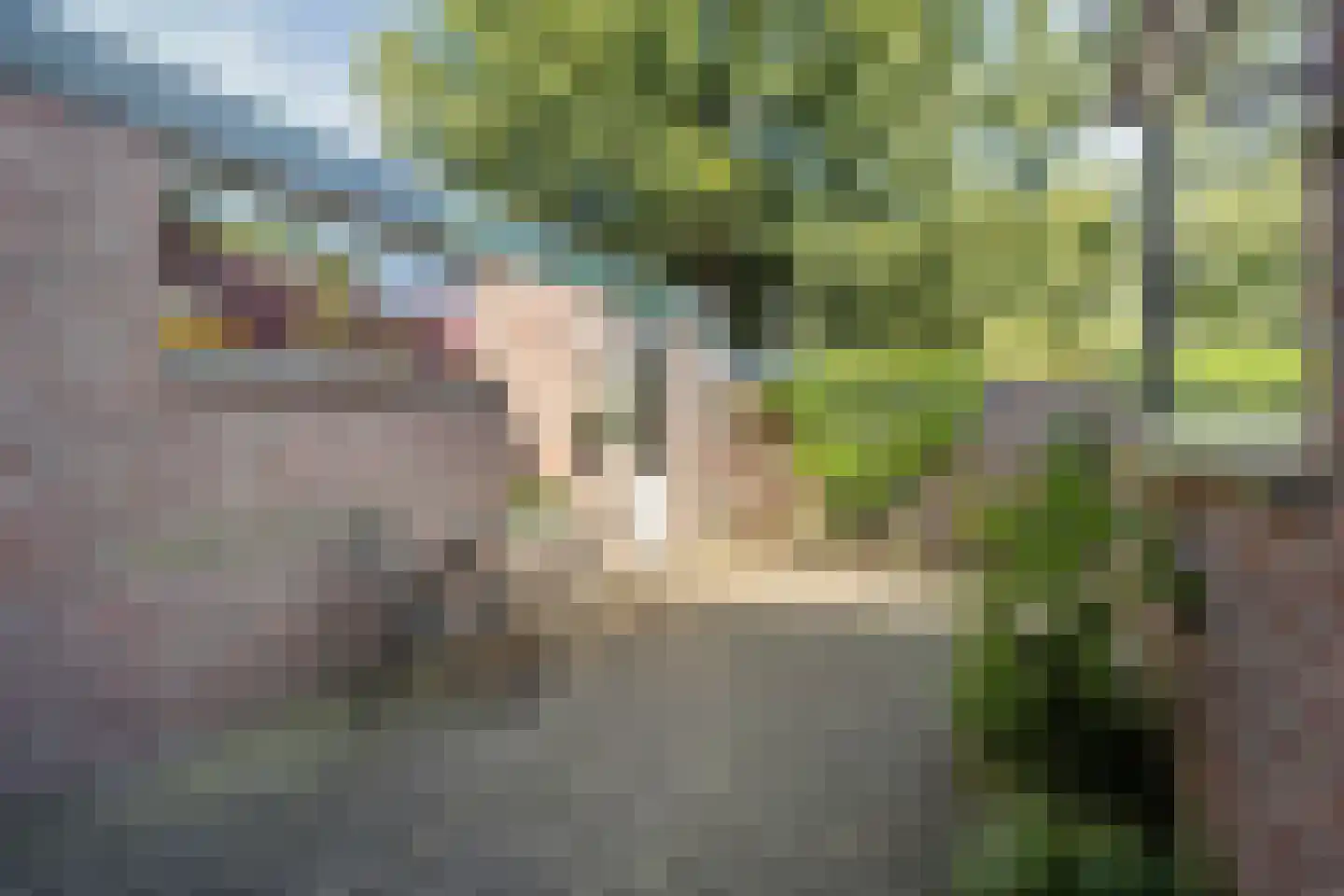 Johan de Wittlaan 5 Arnhem thumbnail 27