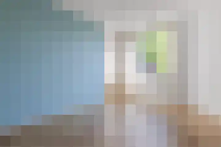 Johan de Wittlaan 66 Arnhem thumbnail 13