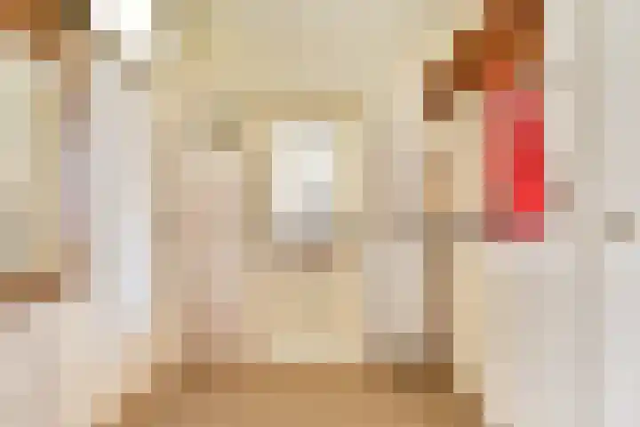 Johan de Wittlaan 7 Gouda thumbnail 7