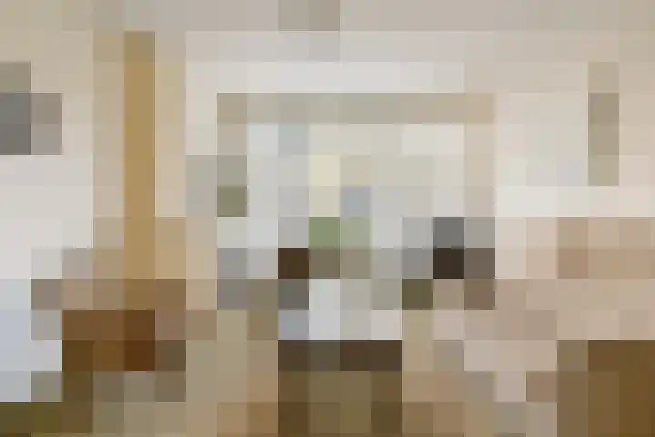 Johan de Wittlaan 7 Gouda thumbnail 9