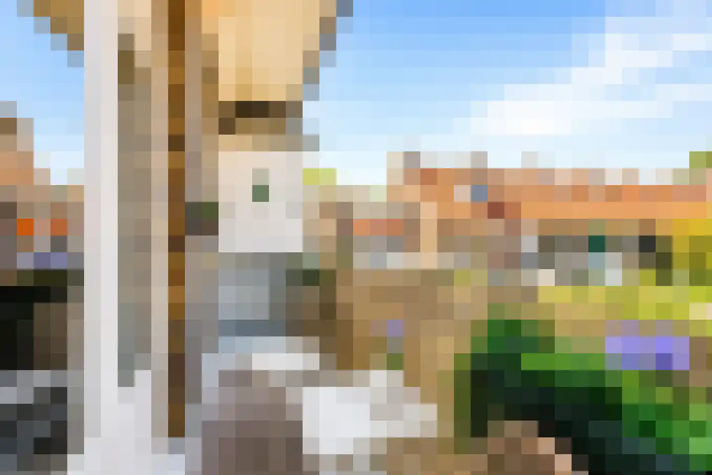 Johan de Wittlaan 71 A Arnhem thumbnail 18