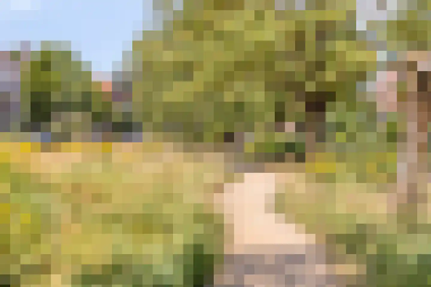 Johan de Wittlaan 71 A Arnhem thumbnail 38