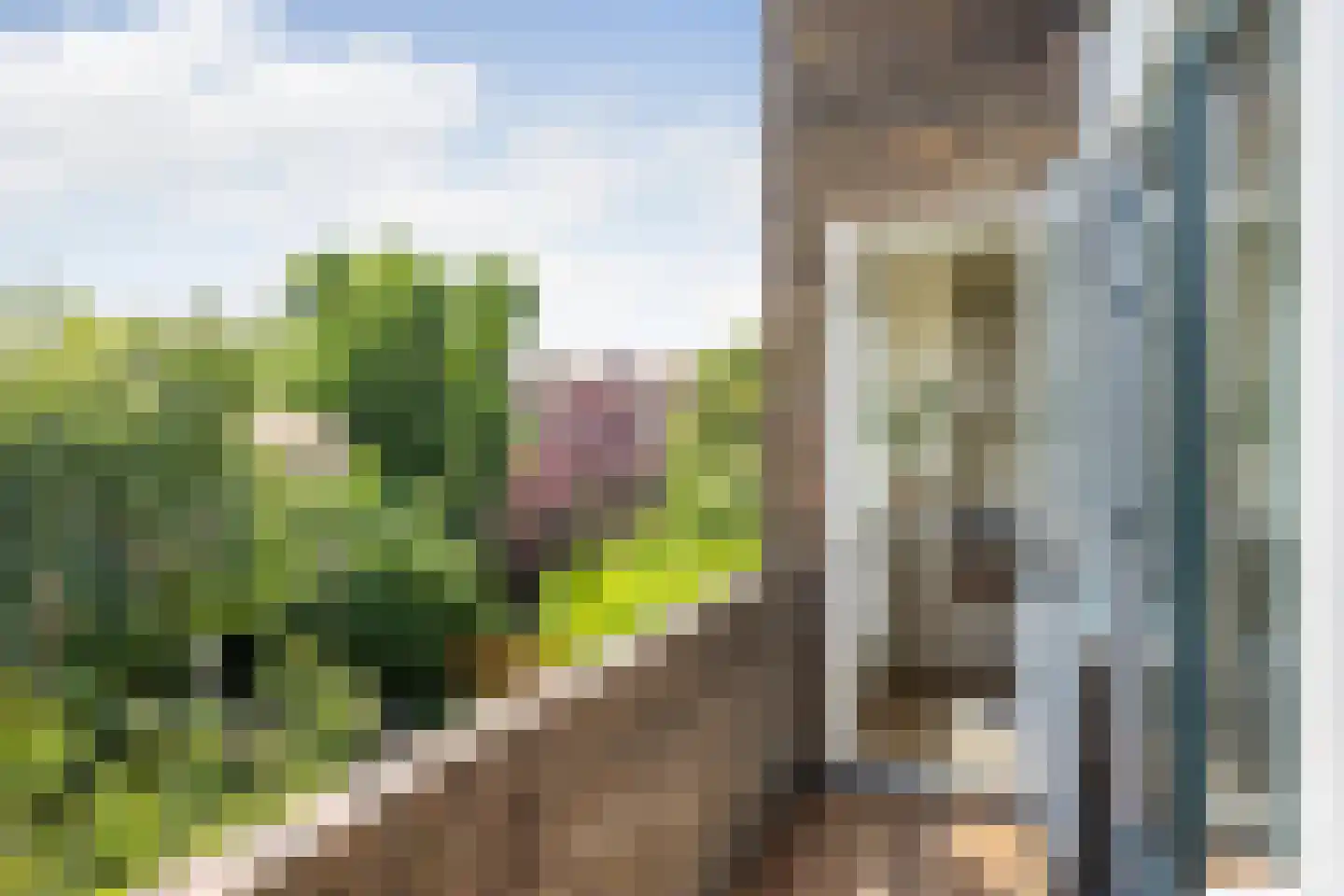 Johan de Wittlaan 76 Arnhem thumbnail 21