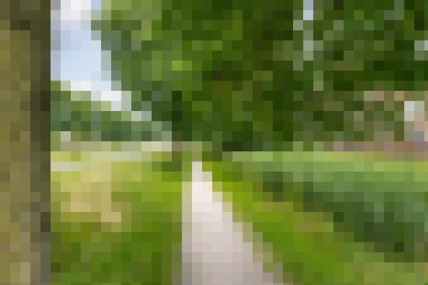 Johan de Wittlaan 76 Arnhem thumbnail 42
