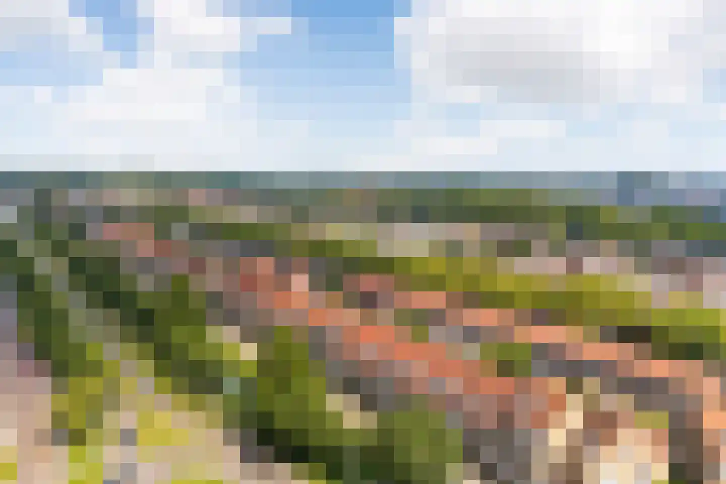 Johan de Wittlaan 76 Arnhem thumbnail 44