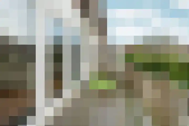 Johan de Wittlaan 80 Arnhem thumbnail 20