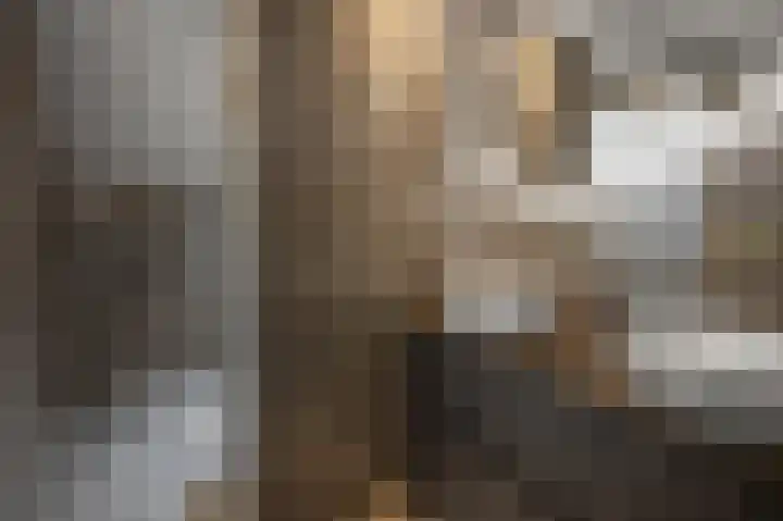 Johan de Wittlaan 85 Uithoorn thumbnail 32