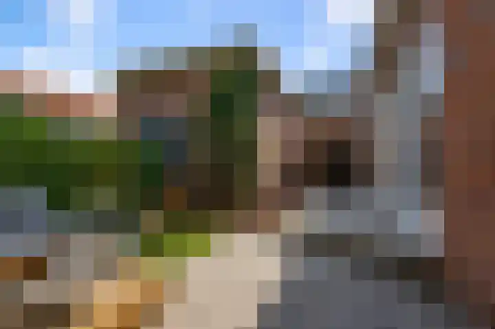 Johan de Wittlaan 85 Uithoorn thumbnail 35