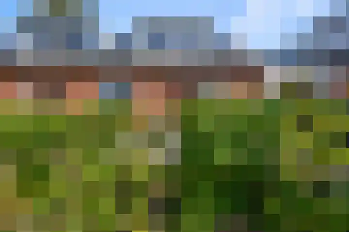 Johan de Wittlaan 85 Uithoorn thumbnail 41