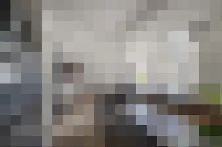 Johan de Wittlaan 85 Uithoorn thumbnail 5