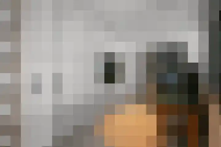 Johan de Wittlaan 89 Uithoorn thumbnail 12
