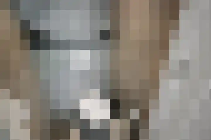 Johan de Wittlaan 89 Uithoorn thumbnail 16