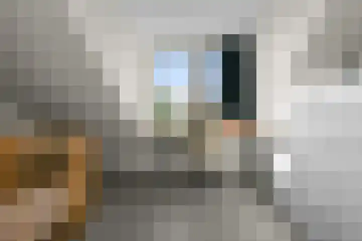 Johan de Wittlaan 89 Uithoorn thumbnail 22