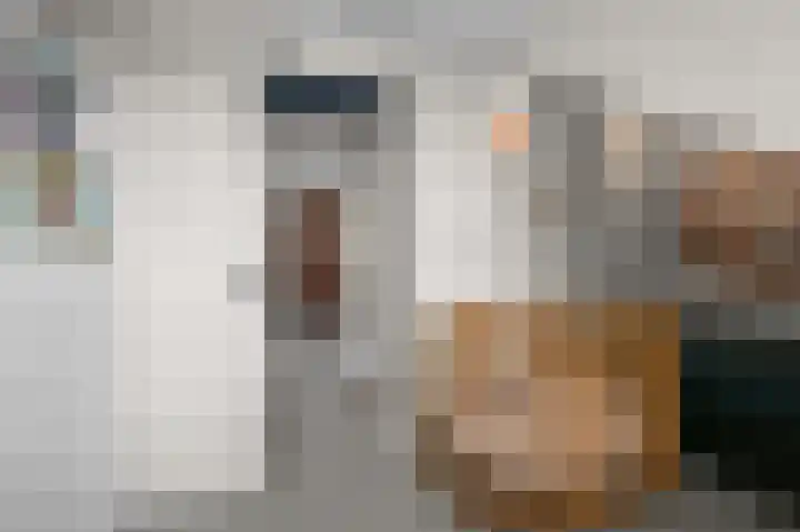Johan de Wittlaan 89 Uithoorn thumbnail 23