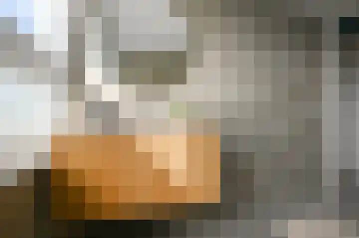 Johan de Wittlaan 89 Uithoorn thumbnail 28
