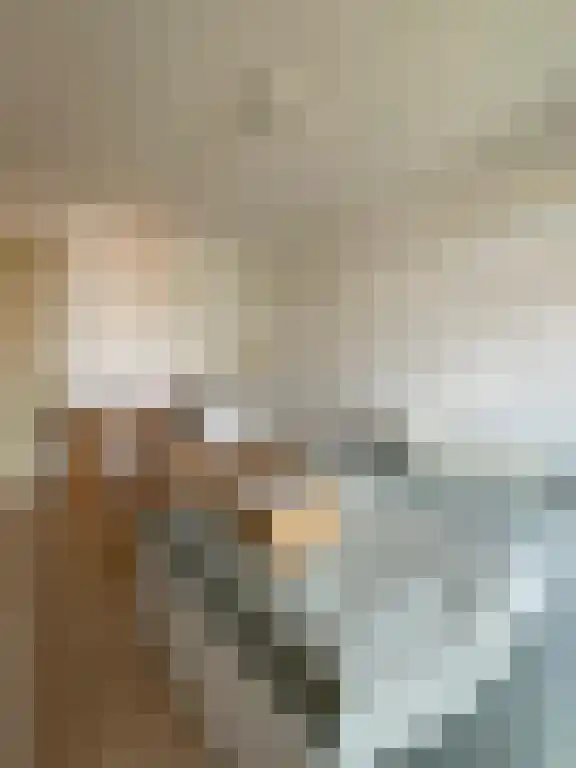 Johan de Wittlaan Arnhem thumbnail 4