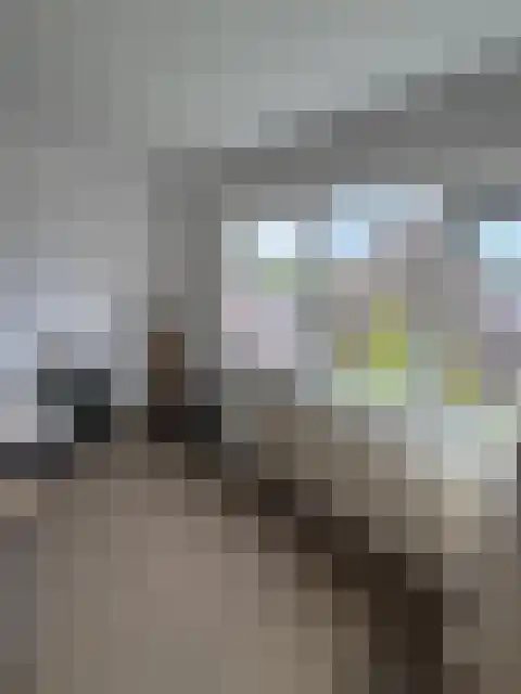 Johan de Wittlaan Arnhem thumbnail 4