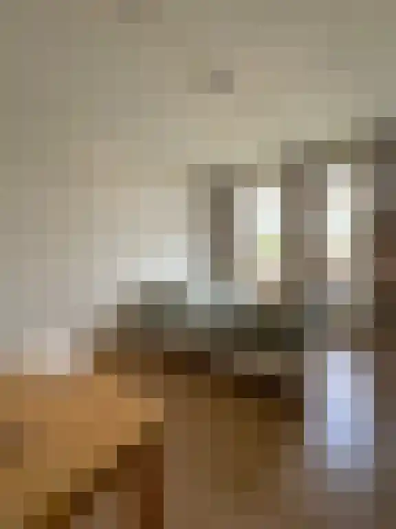 Johan de Wittlaan Arnhem thumbnail 5