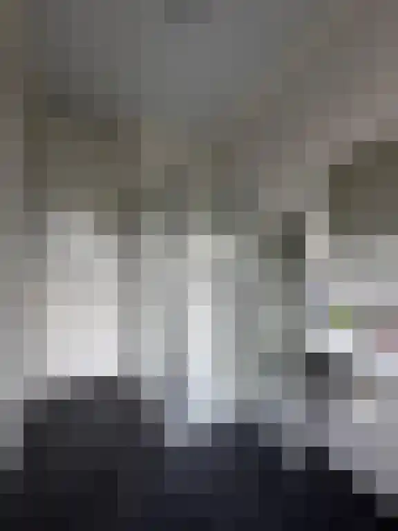 Johan de Wittlaan Arnhem thumbnail 5