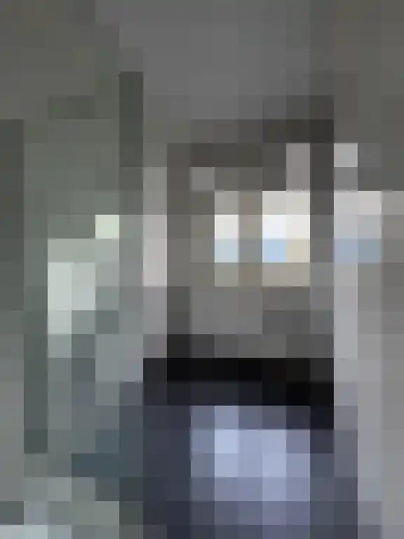 Johan de Wittlaan Arnhem thumbnail 5