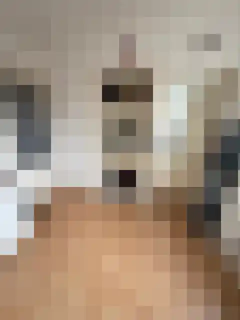 Johan de Wittlaan Arnhem thumbnail 5