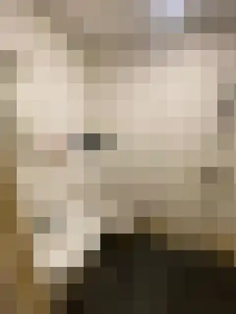 Johan de Wittlaan Arnhem thumbnail 6