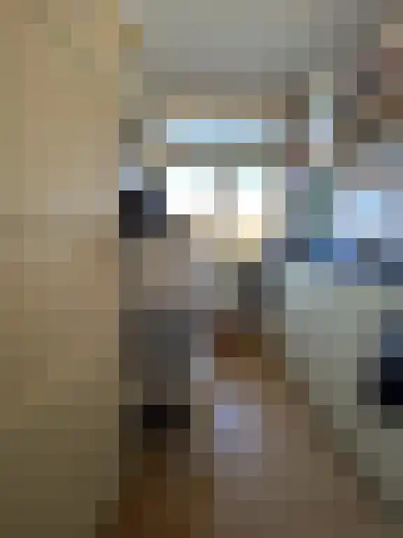 Johan de Wittlaan Arnhem thumbnail 6