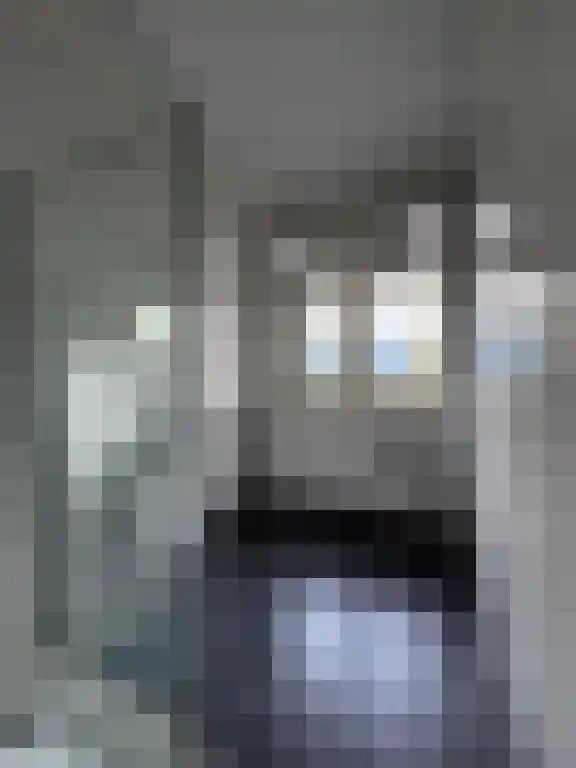 Johan de Wittlaan Arnhem thumbnail 6