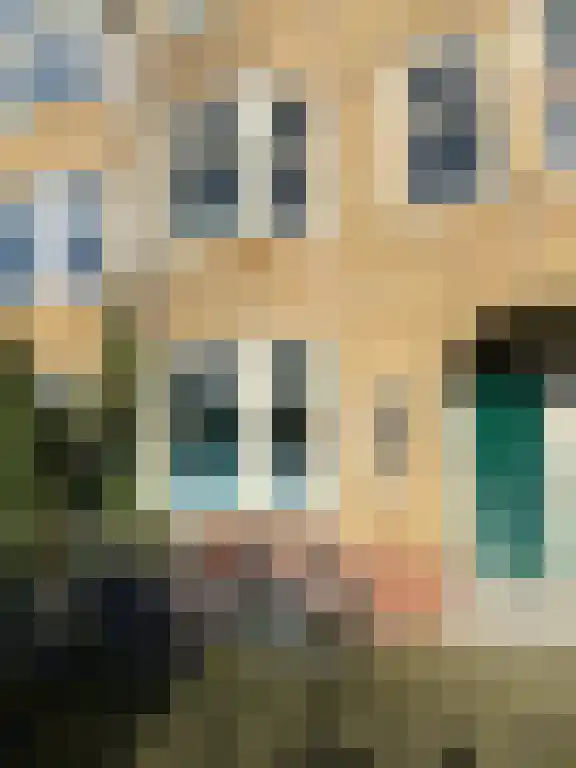 Johan de Wittlaan Arnhem thumbnail 6