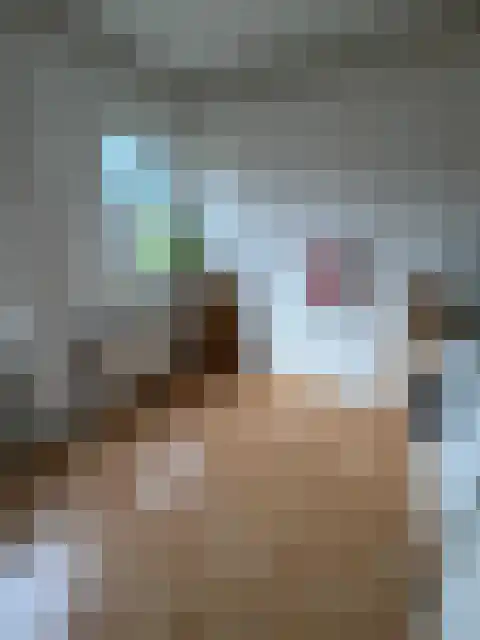 Johan de Wittlaan Arnhem thumbnail 6